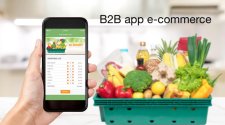 b2b app ecommerce